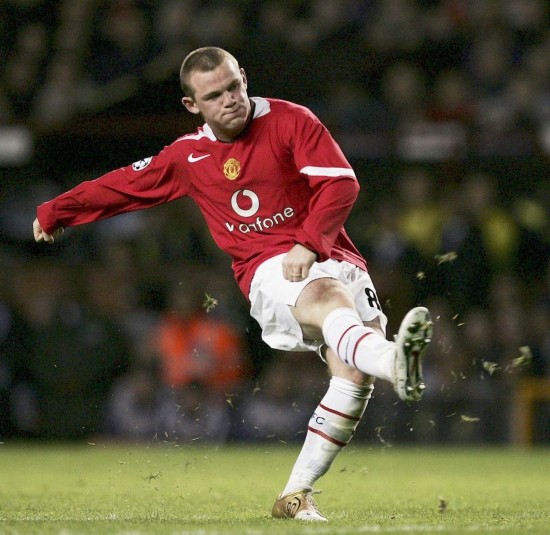 率的体现 率的体现