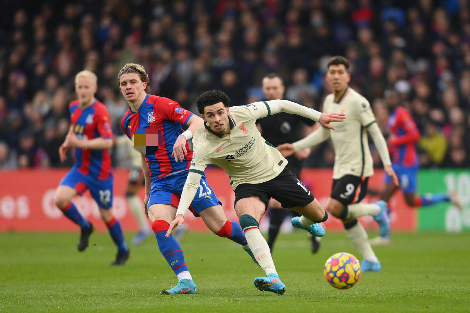 球员选择 球员选择