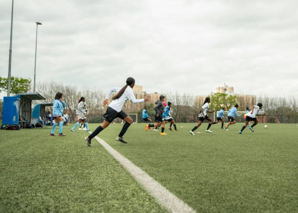 直塞与肋部 直塞与肋部